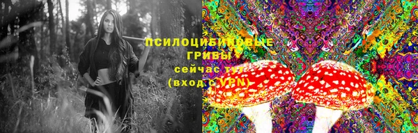 MDMA Premium VHQ Бронницы