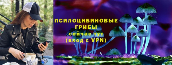 MDMA Premium VHQ Бронницы